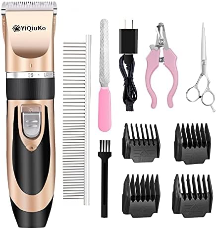 shaving a australian shepherd