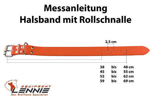 LENNIE 38mm breites Biothane Hunde-Halsband, Edelstahl-Rollschnalle, personalisiert mit Namen/Telefonnummer, schmutz-Wasser-abweisend