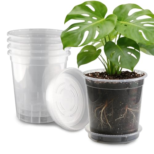 BTPLASTIK 3 Gallon Clear Nursery Pots with Saucers 5P 10 Inch Round Plastic Plant Pots with Drainage Holes