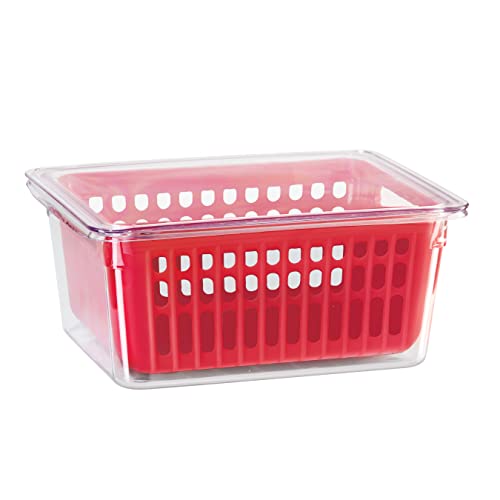 Oggi 5169 Berry Bin - Single Basket, Red
