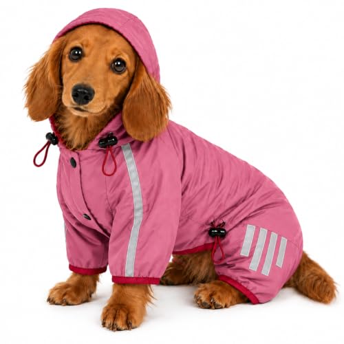 Pawlie 犬レインコート