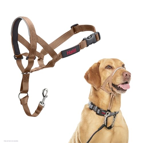 Halti Headcollar - Stop Your Dog Pulling on The Leash. Adjustable, Reflective and Lightweight, with...