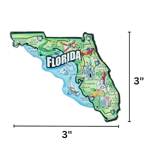 Imán Decorativo Acrílico Florida State 3x3 Pulgadas miniatura 6