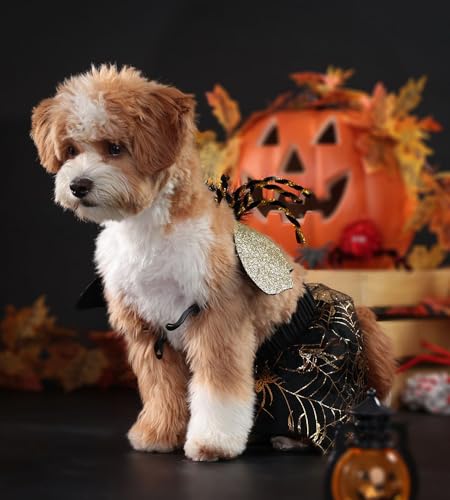 Disfraz Halloween para perro con alas de araña X-Large miniatura 2