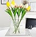NaTickap Acrylic Book Vase for Flowers, Modern Aesthetic Flowers Vase for Bookshelf, Desk, Room, Office, Home Decor (Clear)