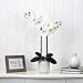Nearly Natural 26in. Artificial Double Orchid Phalaenopsis with Decorative Vase (Real Touch)