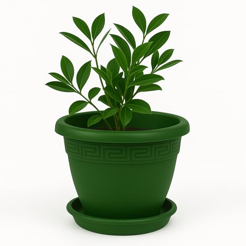 TECHZOCO Macetero con Plato, Maceta Redonda clásica de plástico con Plato, Tiesto para Plantas, Fabricado en Polipropileno, 17 cm Altura x 22 cm Diámetro Superior x 12 cm Diámetro Base, Verde