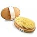 Spazzola Dry Brushing Corpo, Spazzola a Secco, Dry Brushing Riattivare il Micro Circolo e Stimolare il Sistema Linfatico (1 × iBrushy Spazzola) immagine
