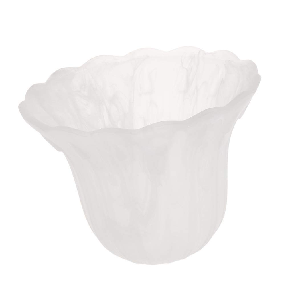 B Baosity 2 Replacement Pendant Lamp Shade Frosted Glass Shade, 3