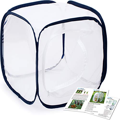 Image of Insect and Butterfly Habitat Cage Terrarium Pop-up 12 X 12 X 12 Inches