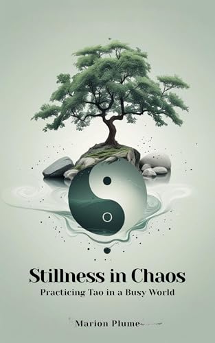 Stillness in Chaos: Practicing Tao in a Busy World (English Edition)