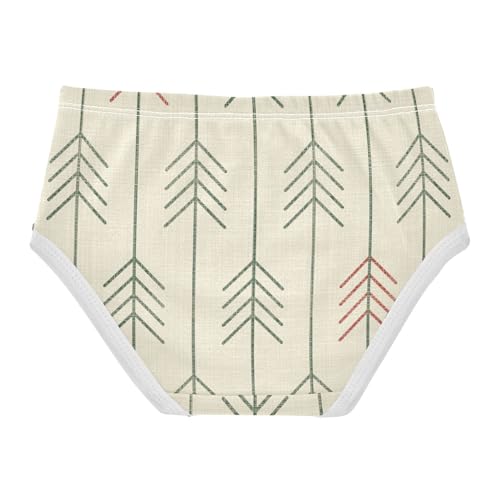 Cotton Panties Underwear for Daily Wear Organic Underwear for Kids in Sizes 2T,3T, 4T, 5T, 6Y and 8Y2