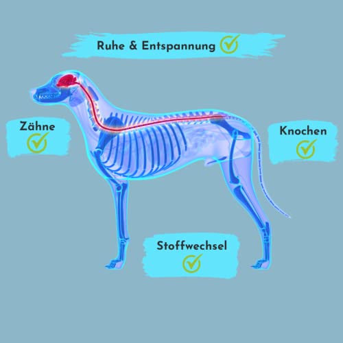 Magnesium für Hunde - kann zur Stressreduzierung und Entspannung beitragen, ohne unerwünschte Zusätze in Premium Qualität, kann einen lockeren Muskeltonus und das Nervensystem unterstützen