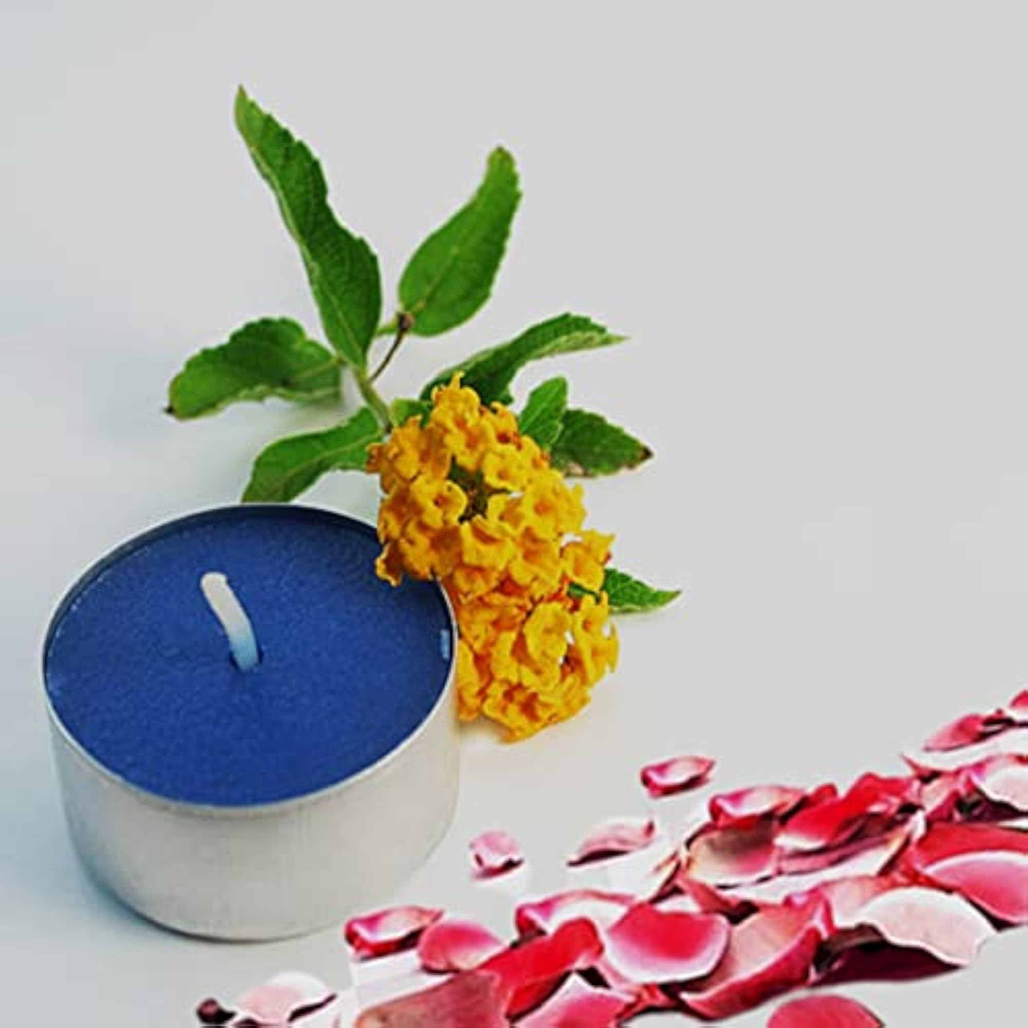 Blue Color Unscented Tea Light Candles, Set of 25