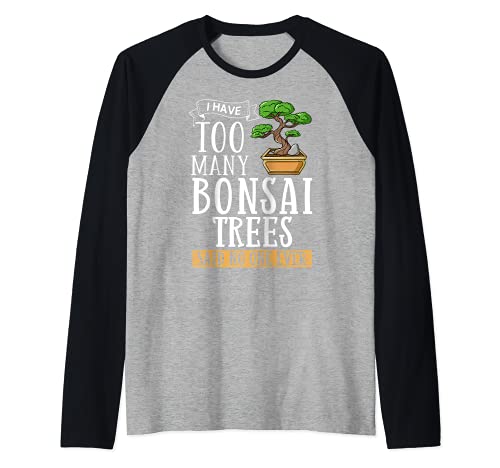 Bonsai Baum Pflanze Indoor Garten Japanisch Raglan
