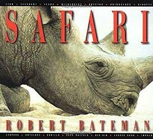 Safari