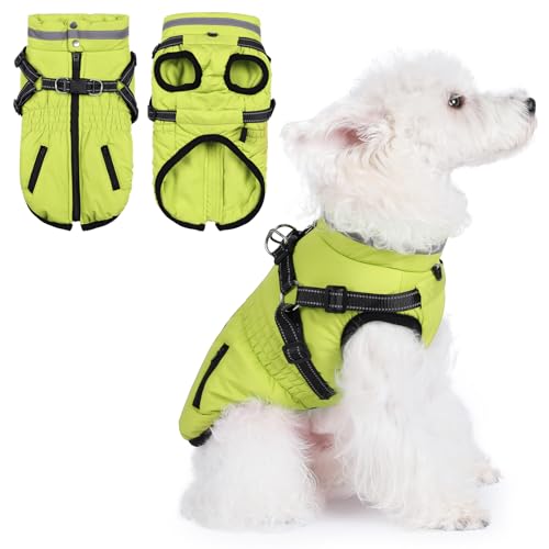 Gyuzh n[lXtpR[gApEB^[WPbgA^A^^p̃n[lXt~phR[g