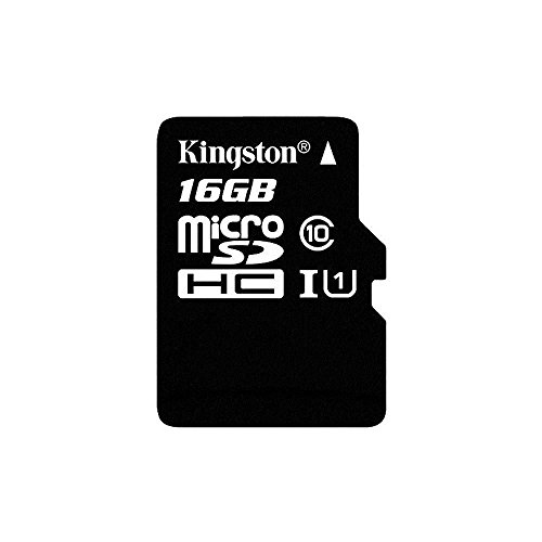 Kingston SDC10G2/16GB Scheda...