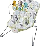 Fisher-Price Deluxe Bouncer: Green/Blue/Grey
