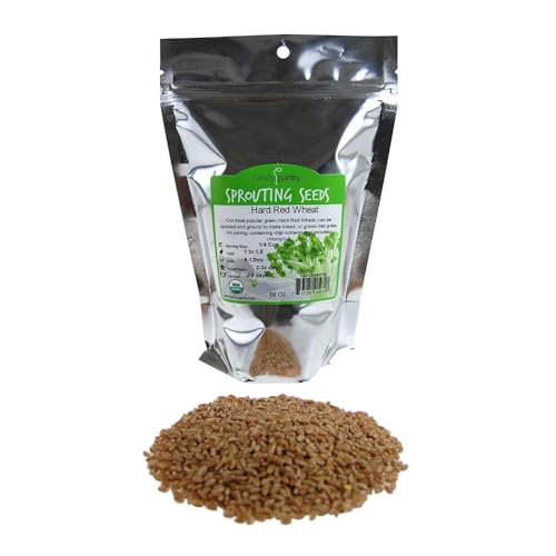 Handy Pantry Organic Wheatgrass Seeds 1 pound bag