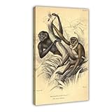 Les affiches sur toile se distinguent des affiches en papier car elles ne se détériorent pas en raison de facteurs environnementaux tels que l'humidité.