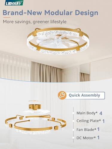 Image of LEDIARY 24 inch Low Profile Ceiling Fans with Lights, APP & Remote, Gold