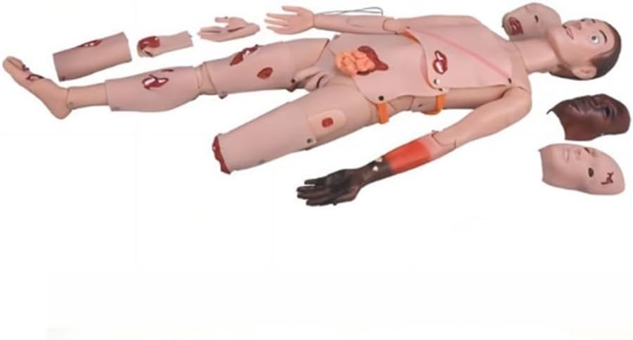 Advanced Trauma Care First Aid Model / Simulates Multiple Body Part Injuries, Burns, Open Fractures, Foreign Body Puncture Wounds, Limb Amputations, Etc.