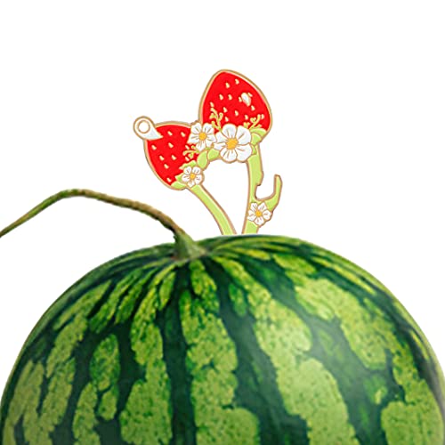 Malterzer Keychains Carabiners Detachable Key Ring Quick Release Keychain Brass Key Chains (Strawberry Artifact Combination Set 1) #TOP3