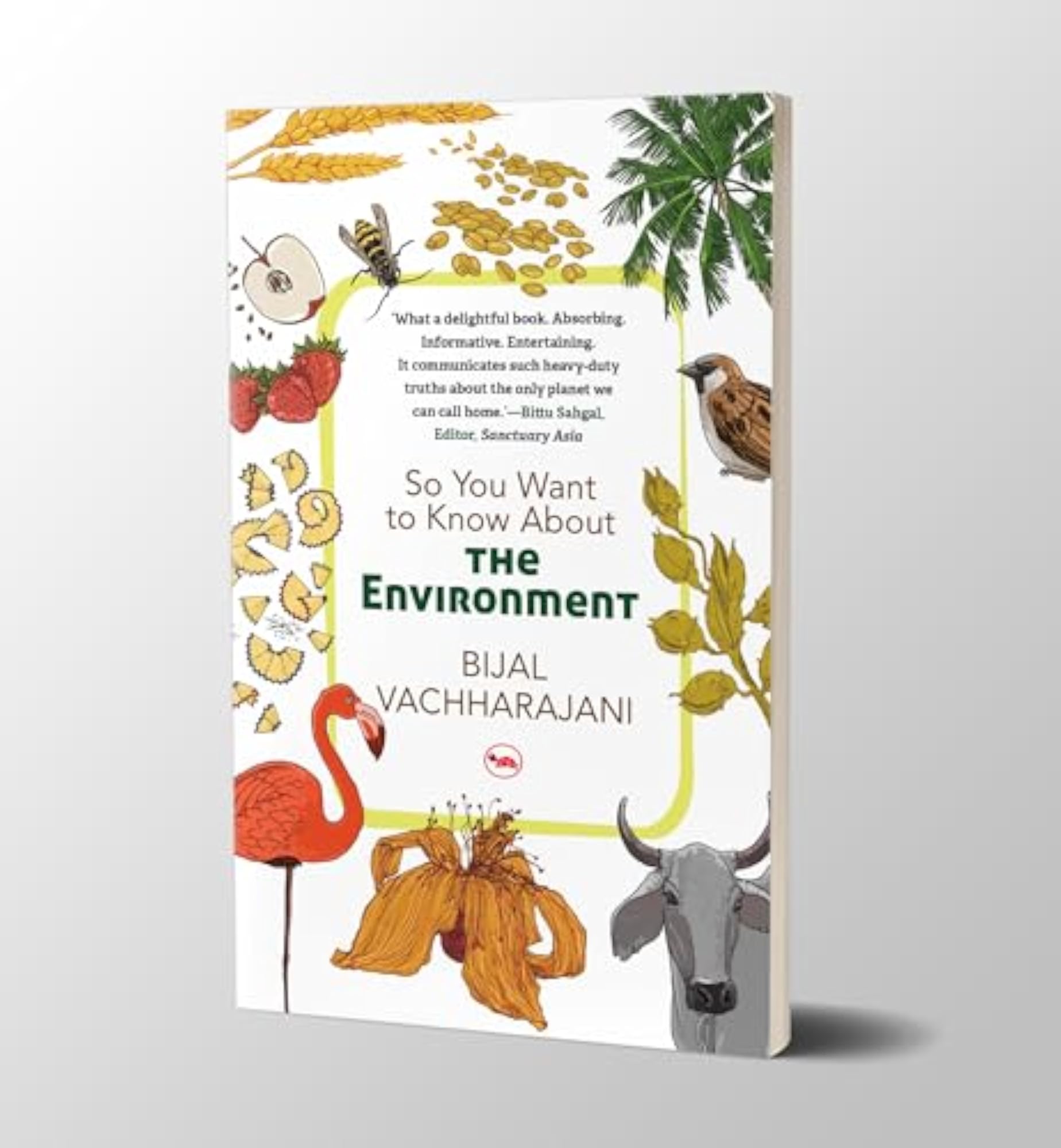 SO YOU WANT TO KNOW ABOUT THE ENVIRONMENT