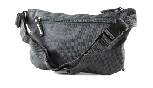 Chiemsee Apanatschi Hip Bag Grey avec sangle ajustable et zips - 4
