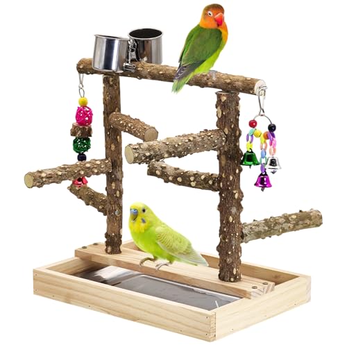 Image of BNOSDM Natural Wood Bird Playground for Training & Playing, Parrot Perch Stand Jungle Gym with Detachable Tray & Stainless Feeder Cups Parakeet Cage Playstand for Budgie, Cockatiel, African Grey