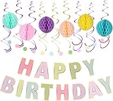 Anime Cartoon Theme Birthday Party Supplies, Party Decorations Including Banners, Balloons, Hanging Swirls, Cake Cupcake Toppers for Girl's Boy's Party Decor, Holiday Supplies