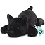 Black Dog