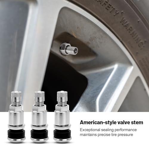 RUNYU 14 Stück Autoreifen Ventil 11,3 mm, Metallventile für Alufelgen, Universal Felgenventil Metall Autoventil TR525 Stahl Reifenventil für Auto Lastkraftwagen Motorrad, Silber