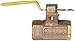 Apollo 75-100 Series Bronze Ball Valve, Two Piece, Inline, Lockable Lever, 1