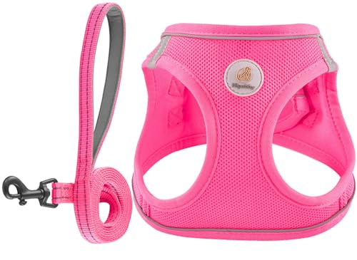 Hipubby Dog Harness and Leash Set, No Pull Soft Mesh Puppy Harness for Small Medium Dogs, Cats...