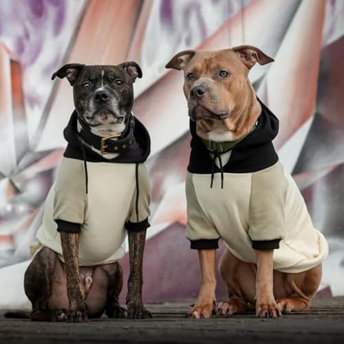 Image of Spark Paws Dog Hoodie - Premium Dog Sweater for Small, Medium, and Large Dogs | Warm Outfits for French Bulldogs, Pitbull, Puppy, Winter Jacket Alternative - Olive Cream - XL