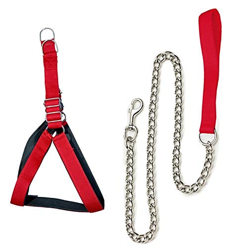 PSK PET MART Adjustable Dog Body Belt and Leash Chain with Padded Handle for Medium Breeds (Harness Red Color - 1 Inch, Leash chain-10 No) (B091N1ZXXS) Amazon Price History, Amazon Price Tracker