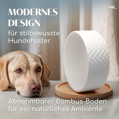 FREUDENTIER Hundenapf aus Keramik mit Bambus-Boden - 990ml - rutschfest & spülmaschinenfest - Moderner Futternapf/Fressnapf für Grosse Hunde & kleine Hunde - Napf Hund (Weiß, 1x)