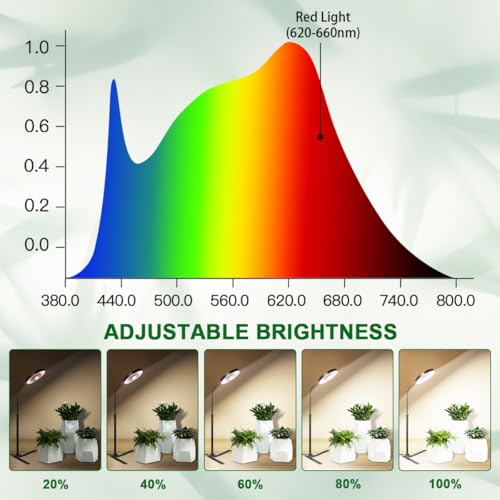 YEOLEH-Grow-Lights-for-Indoor-Plants-6000K-White-LED-Full-Spectrum-Gooseneck-Plant-Lamp-with-Dimmable-Height-Adjustable-for-Mini-Succulent-Desktop-Plants-Auto-Timer-481218Hrs