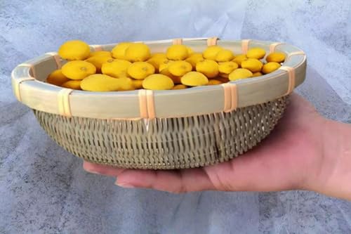 ざる 盆ざる 竹製」の人気商品一覧 | 安い商品を通販サイトから