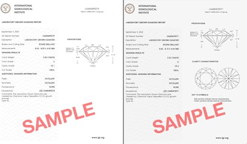 Image of IGI Certified 1 to 10 Carat D-E Color and VS1-VS2 Clarity Lab Grown Diamond Stud Earrings for Women I 14k White Gold Earrings for Her I Secure Screw Back Made in USA by Beverly Hills Jewelers