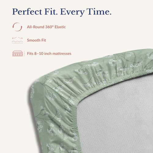 Image of Jaipur Weaves Queen Size Fitted Bedsheet Cotton with Elastic, 100% Pure Cotton Double Bed Fitted Sheet with 2 Pillow Covers, 240 TC,60x78 Inches up to 8-inch Mattress,Floral Design(Green)