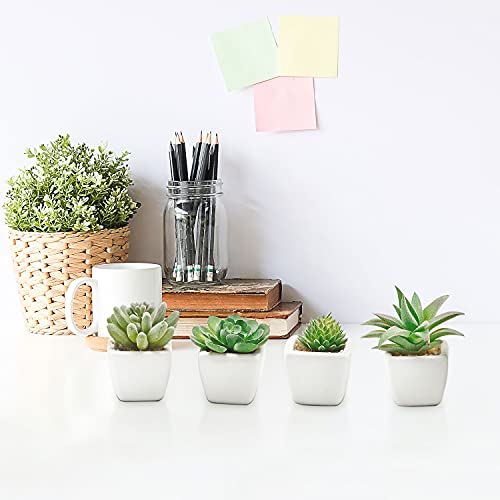 La mejor comparación de Mini macetas decorativas para comprar hoy. 12 Imagen adicional