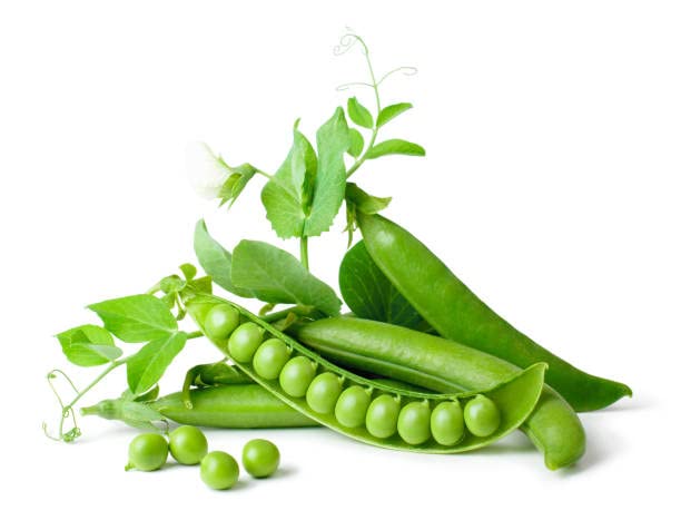Udanta Vegetable Seeds | Matar – Green Pea F1 Hybrid Seeds Pack Of 20 Seeds (B09ZVL9MVW) Amazon Price History, Amazon Price Tracker