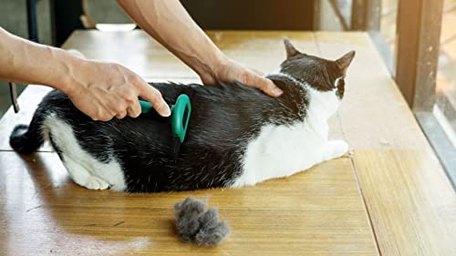 Ruff 'N Ruffus Deshedding Brush For Dogs & Cats - Reduces Shedding By Up To 95% With Detachable Head & Non-Slip Grip, Comes With Free Nail Clippers, Suitable For All Breeds #TOP7