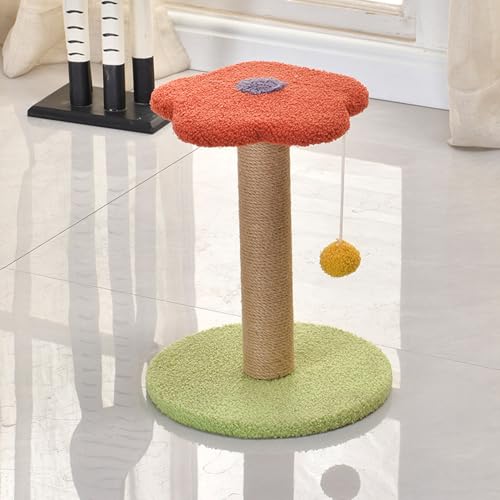 Lbg^[ ~j L^[ ^ ȃXy[X R܂Ƃ W] Ⴂ u Lc[ ^  u J[3 ܌ 27cm L̂ L̗Vя 