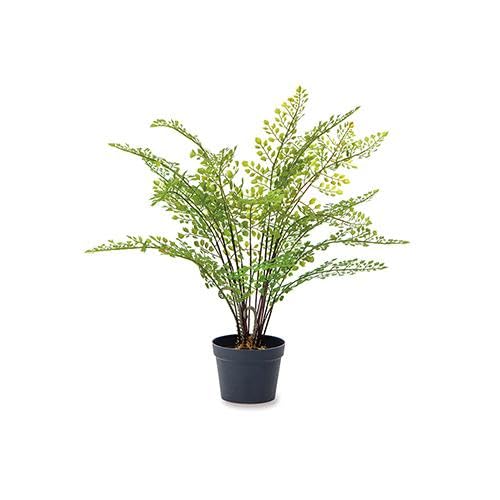 人工観葉植物 アジアンタム50×50 6枚(25×25分割24枚) Amazon｜フェイクグリーン アジアンタム 81126｜人工観葉植物