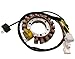 MOTOCEO stator for Yamaha 350 YFM350 1996-2001 Big Bear 350 1995-1997 Kodiak 400 1993-1998 3HN-85510-10-00 3GD-15451-00-00