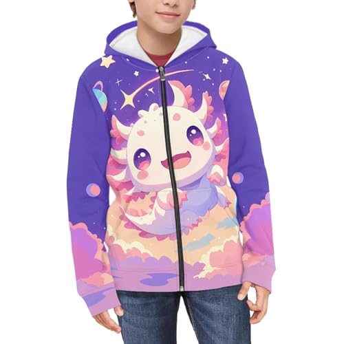 Image of Biyejit Kids Novelty 3D Graphic Printed Hooded Sweatshirt Boys Girls Zip Up Hoodies Age 6-16 Years